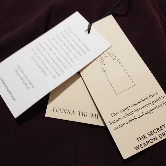 Ivanka Trump Elegant Purple Sleeveless Dress - Picture 6 of 9